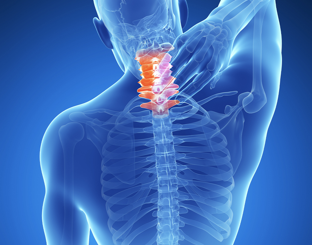 https://paulspine.com/wp-content/uploads/2021/01/dr-ronjon-paul-md-sections-of-the-spine-cervical-v2.jpg