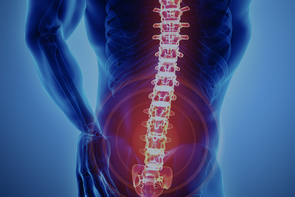 https://paulspine.com/wp-content/uploads/2021/02/lumbar-zygapophysial-joint-injections.jpg